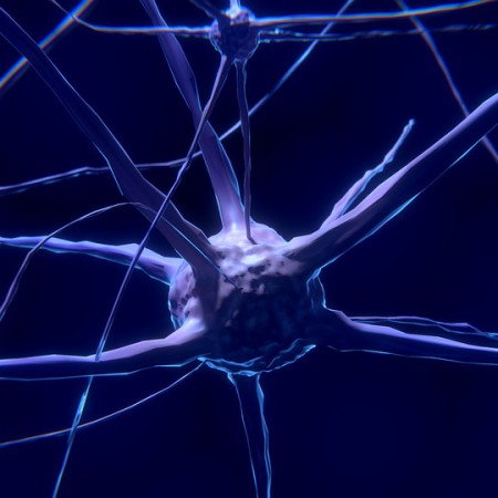 Wpływ histaminy na umysł. Nowa nadzieja w chorobach układu nerwowego. Jak można uchronić nasz mózg przed procesami zapalnymi?